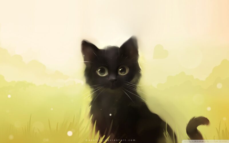 Hình cute mèo màu đen