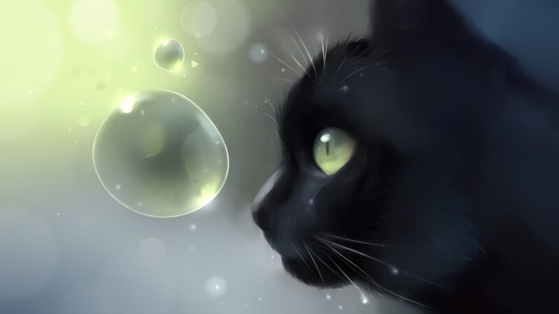 Hình cute mèo và bong bóng