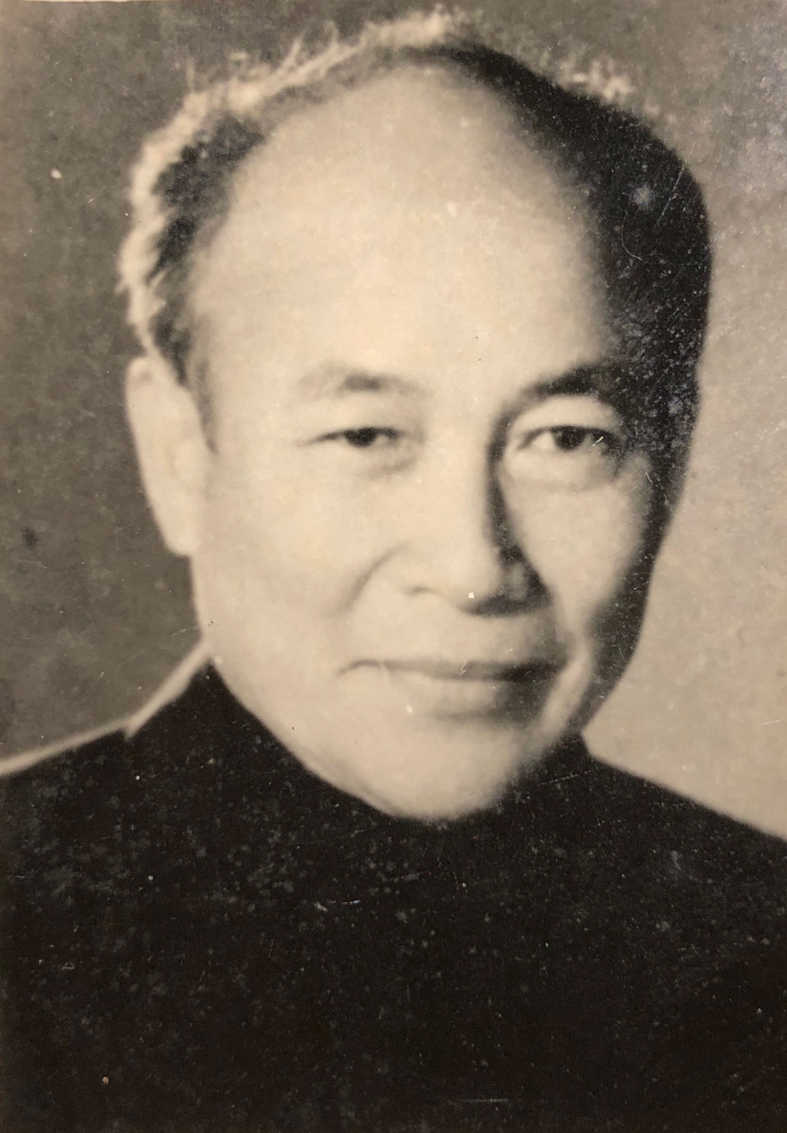 Tô Hoài - Wikipedia