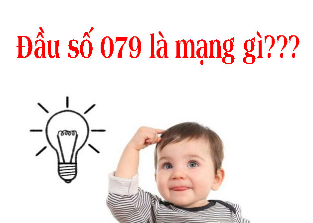 079 là mạng gì? Những ý nghĩa đầu số 079 bạn nên biết