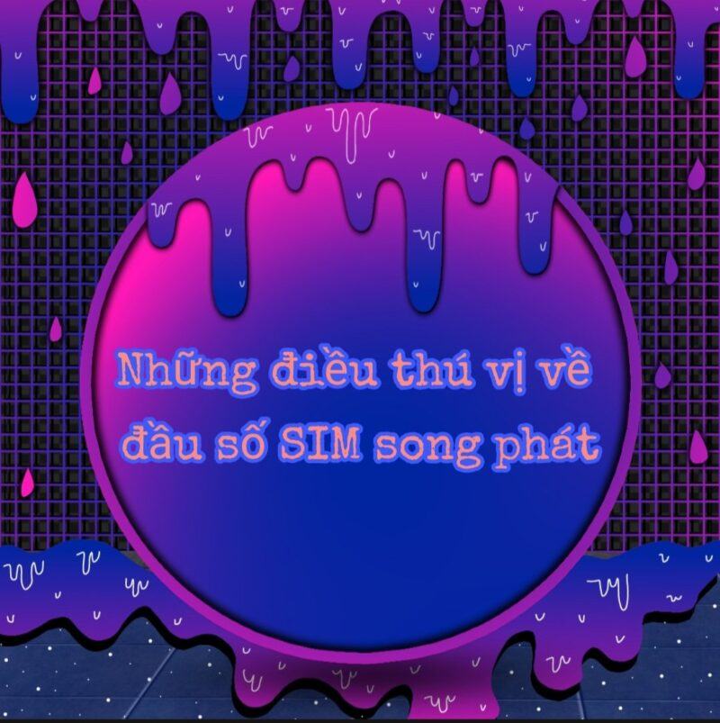 088 là mạng gì