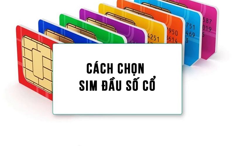 0902 là mạng gì?