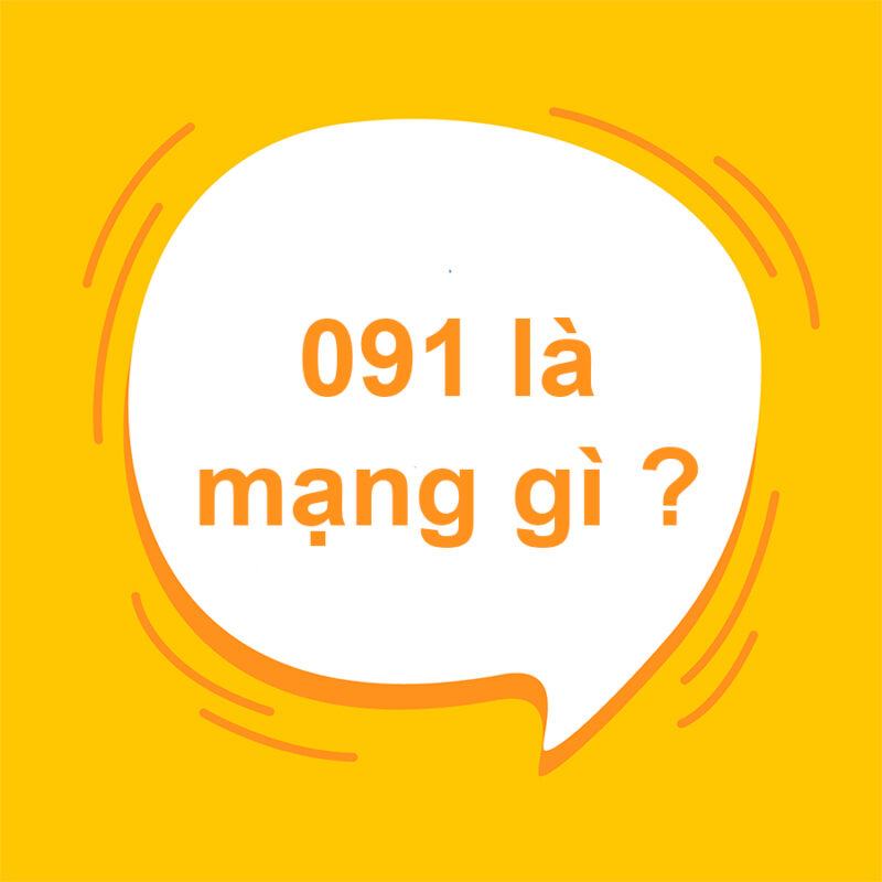 0919 là mạng gì?