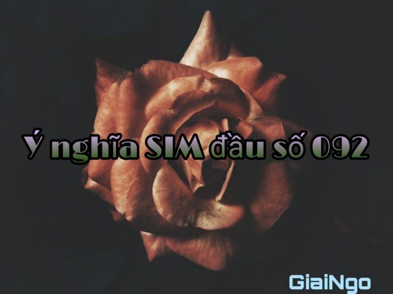 092 là mạng gì