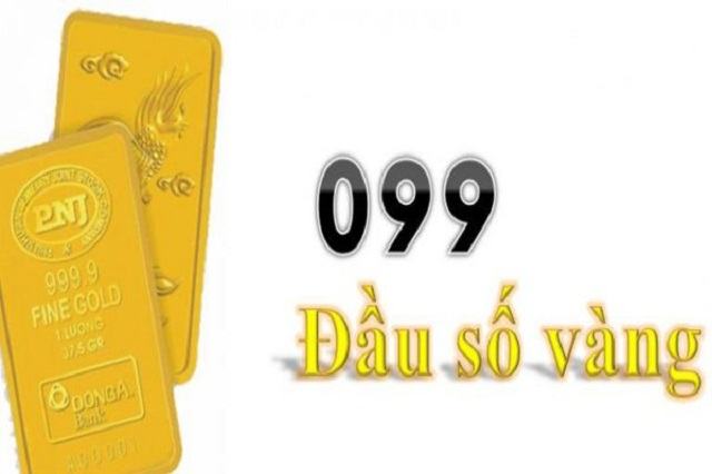 099 là mạng gì?