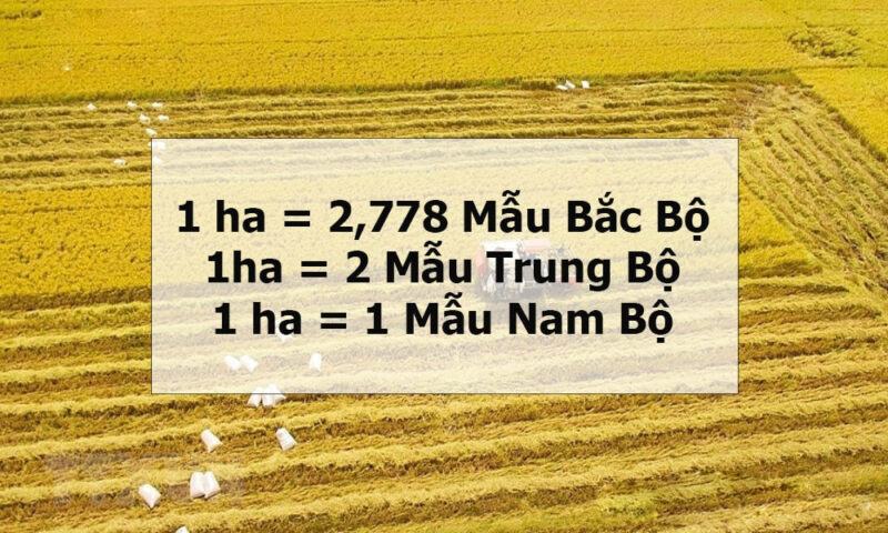 1 mau bang bao nhieu ha