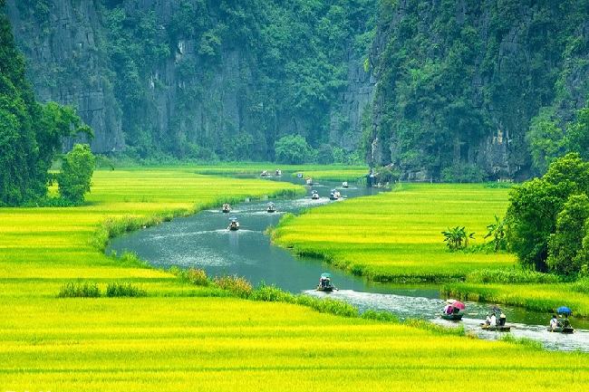 Sản xuất lương thực ở đồng bằng sông Hồng có tầm quan trọng như thế nào?