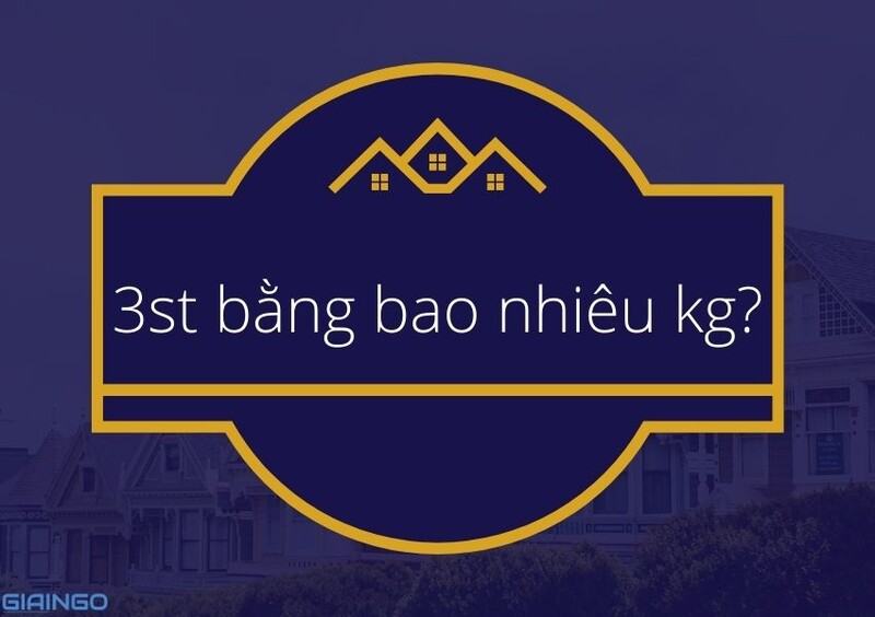 3st bằng bao nhiêu kg