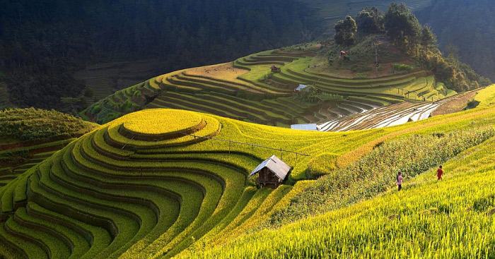 Nêu ý nghĩa của việc phát triển nghề rừng theo hướng nông lâm kết hợp ở trung du và miền núi Bắc Bộ