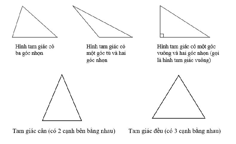 Tính diện tích hình tam giác