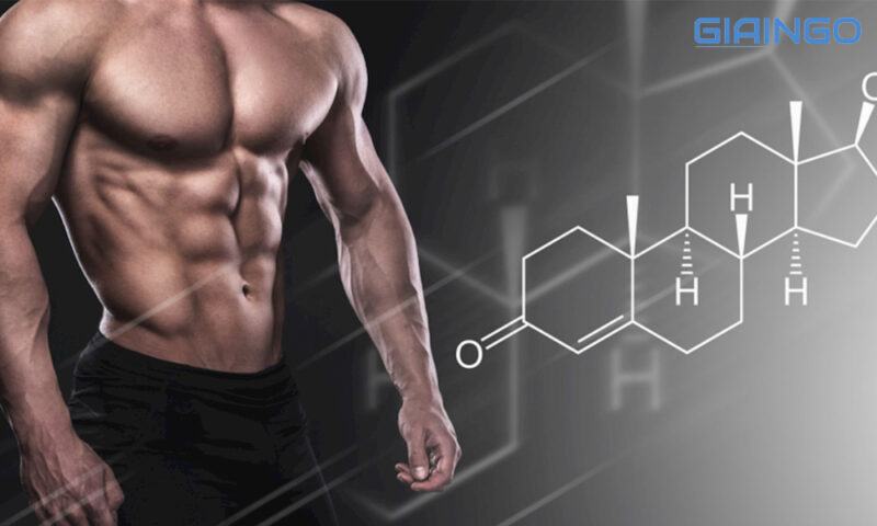 Amino Acid có giúp giảm mỡ không?