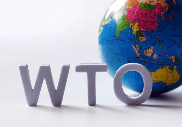 Việt Nam gia nhập WTO năm nào? Là thành viên thứ bao nhiêu?