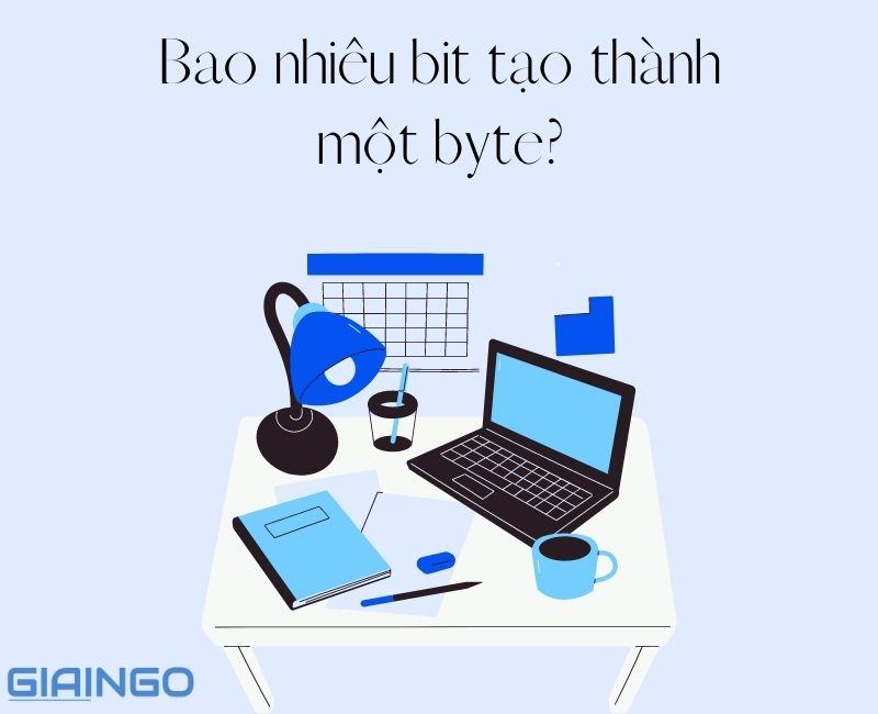 Bao nhiêu bit tạo thành một byte? Phân biệt bit và byte