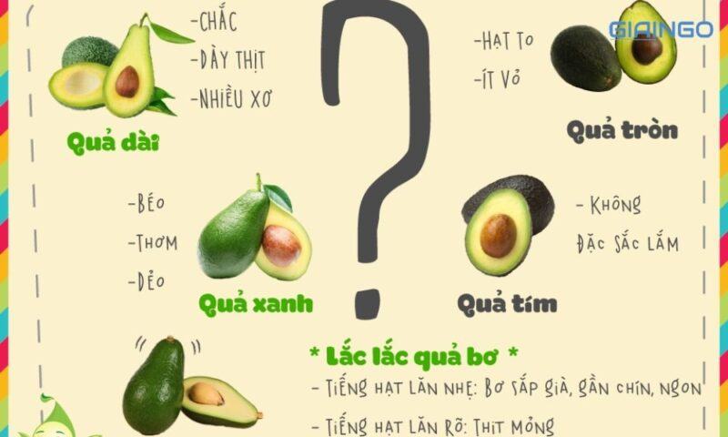 Cách chọn bơ ngon đúng chuẩn và mẹo bảo quản đúng cách?