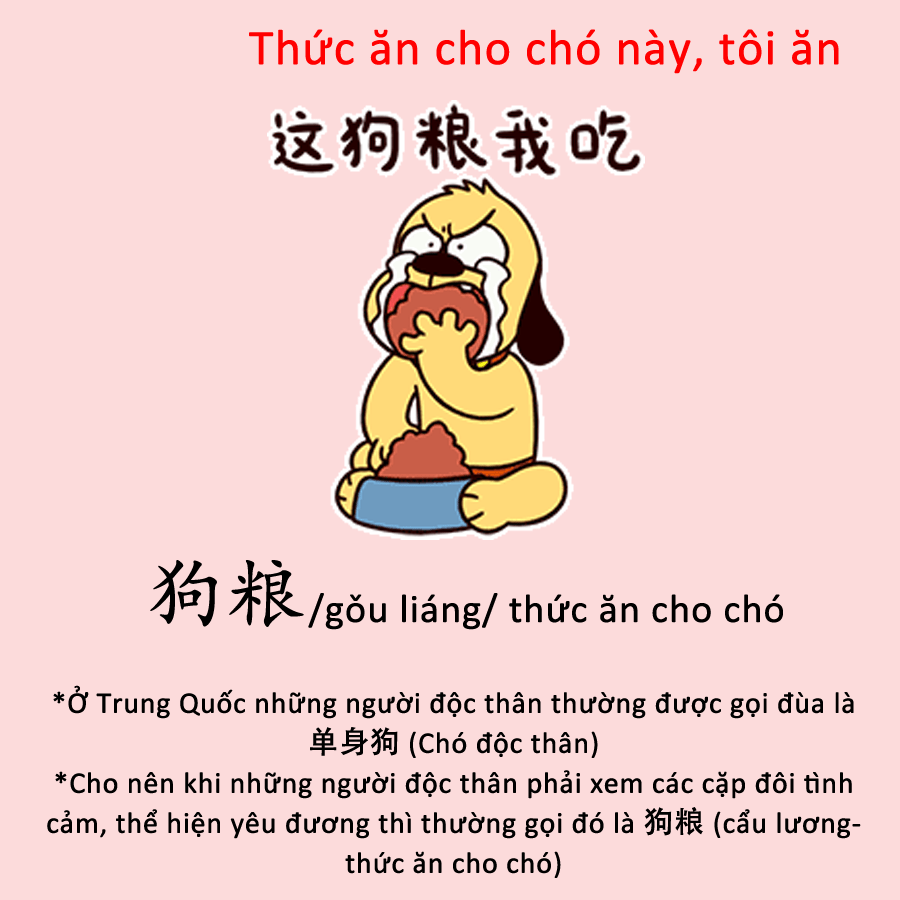 Cẩu lương là gì?