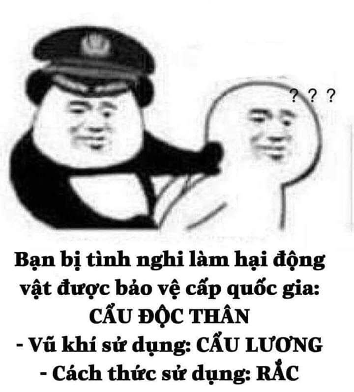 Cẩu lương là gì?