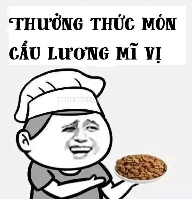 Cẩu lương là gì?