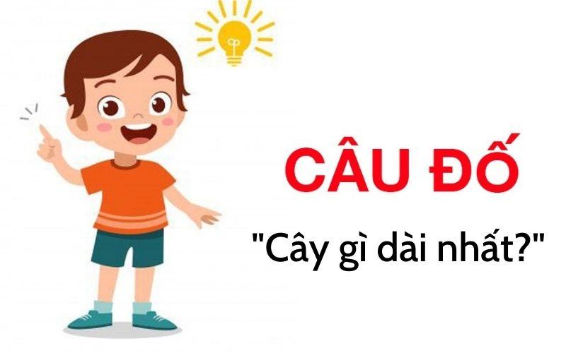 Cây gì không có lá?