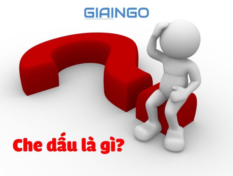 Che dấu hay che giấu? Đâu mới đúng chính tả tiếng Việt?