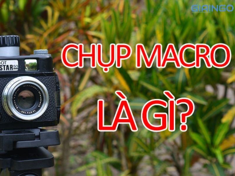 Macro là gì trong chụp ảnh?