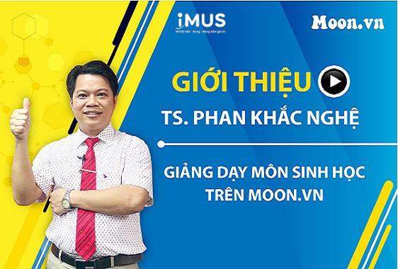 Thầy Phan Khắc Nghệ là ai