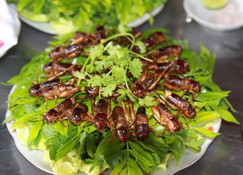 Đặc sản Kon Tum