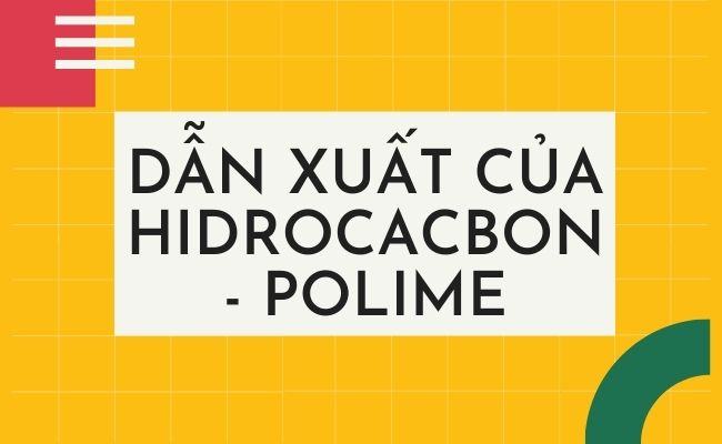 dan xuat cua hidrocacbon