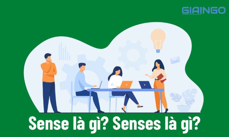 Sense là gì? Senses là gì?