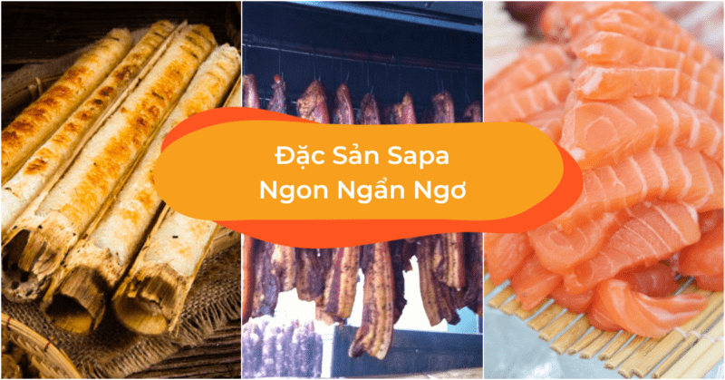 Đi Sapa mùa nào đẹp nhất?