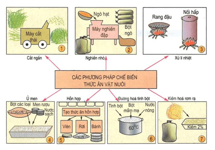 Tại sao phải chế biến và dự trữ thức ăn vật nuôi?