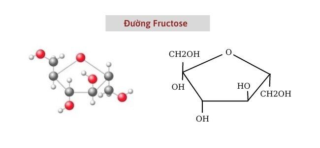 Cong thuc hoa hoc cua duong Fructose