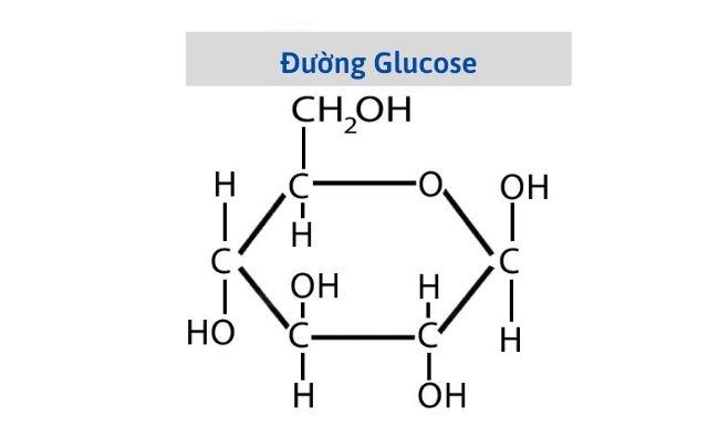 Cong thuc hoa hoc cua duong Glucose