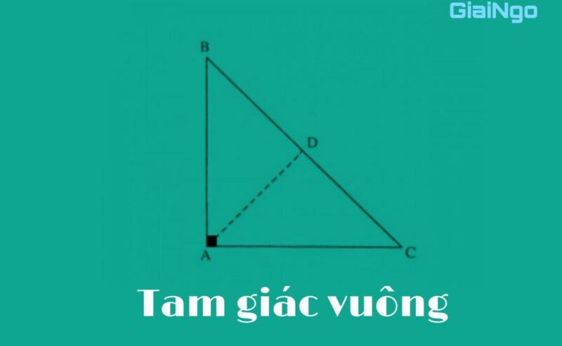 Đường trung tuyến là gì?