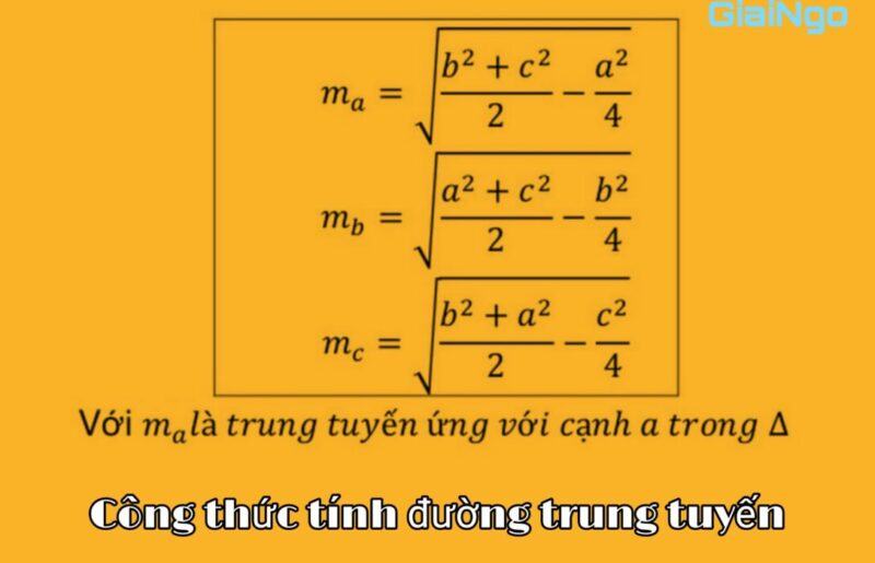 Đường trung tuyến là gì?