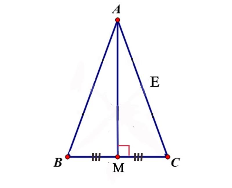 tính chất đường trung tuyến