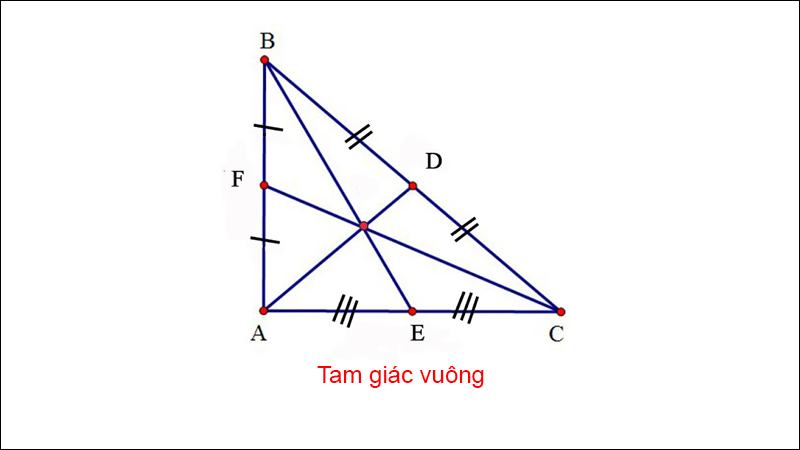 tính chất đường trung tuyến