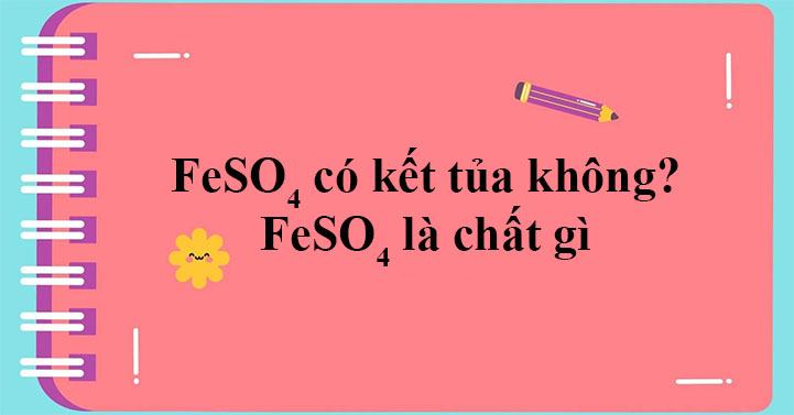 FeSO4 có kết tủa không? Tính chất hóa học, vật lí Hóa học 12