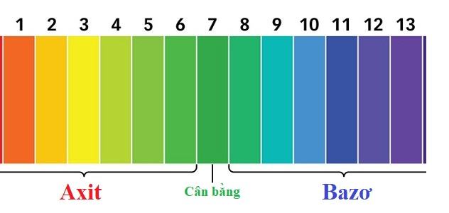 Tính chất hóa học của axit