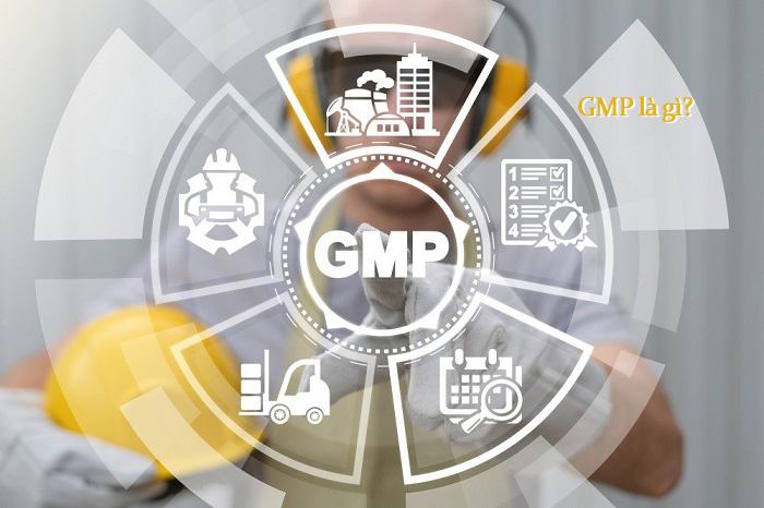 GMP là gì? Tất tần tật những điều bạn cần biết về GMP