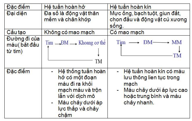 Sự khác nhau giữa hệ tuần hoàn kín và hở