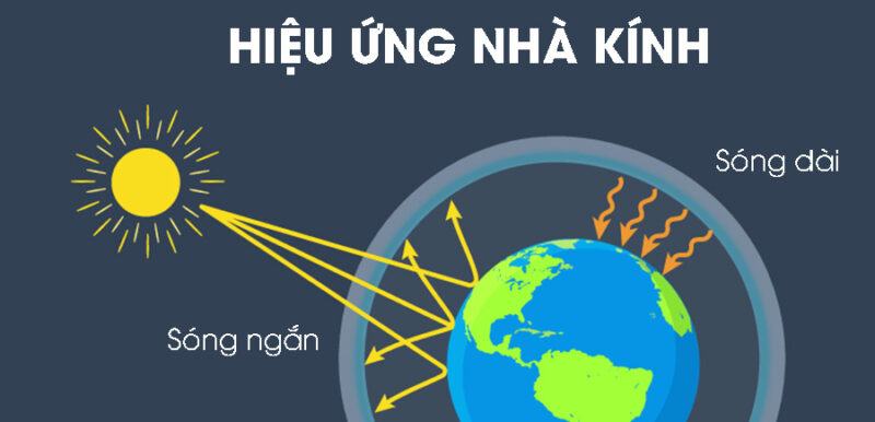 Nguyên nhân hiệu ứng nhà kính? Hậu quả và cách khắc phục