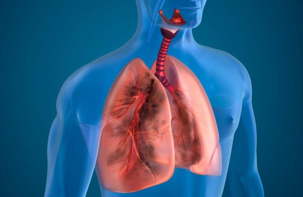 Hô hấp có vai trò quan trọng như thế nào với cơ thể sống