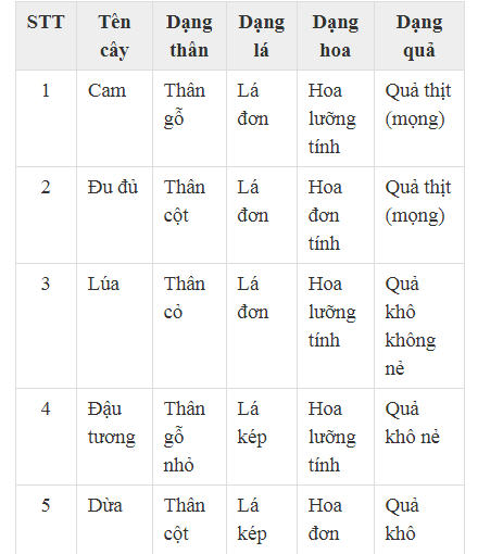 Vì sao thực vật hạt kín lại có thể phát triển đa dạng phong phú như ngày nay?