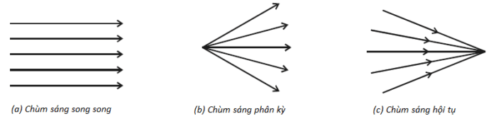 Khi nào ta nhận biết được ánh sáng