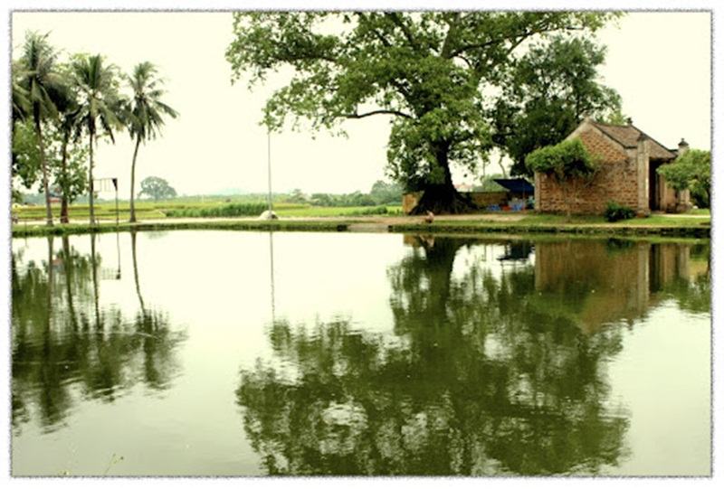 Soạn bài Làng