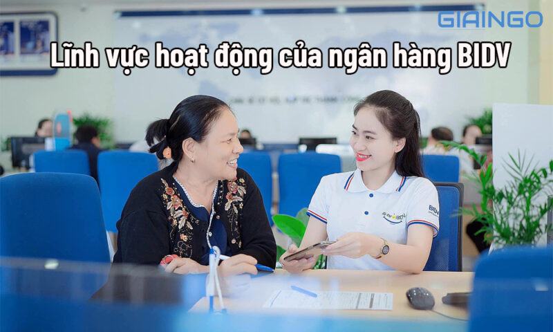 Lĩnh vực hoạt động của ngân hàng BIDV