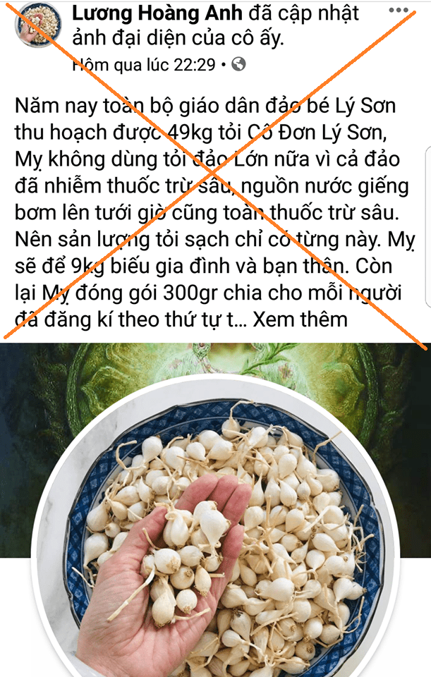 Lương Hoàng Anh là ai