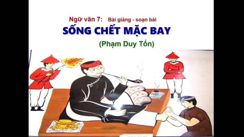 Ý nghĩa nhan đề "Sống chết mặc bay"