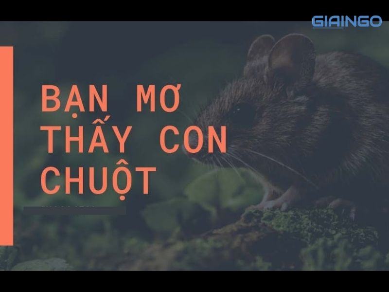 May mắn như thế nào? 