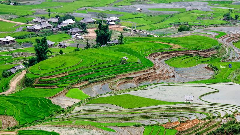 mù cang chài ở đâu